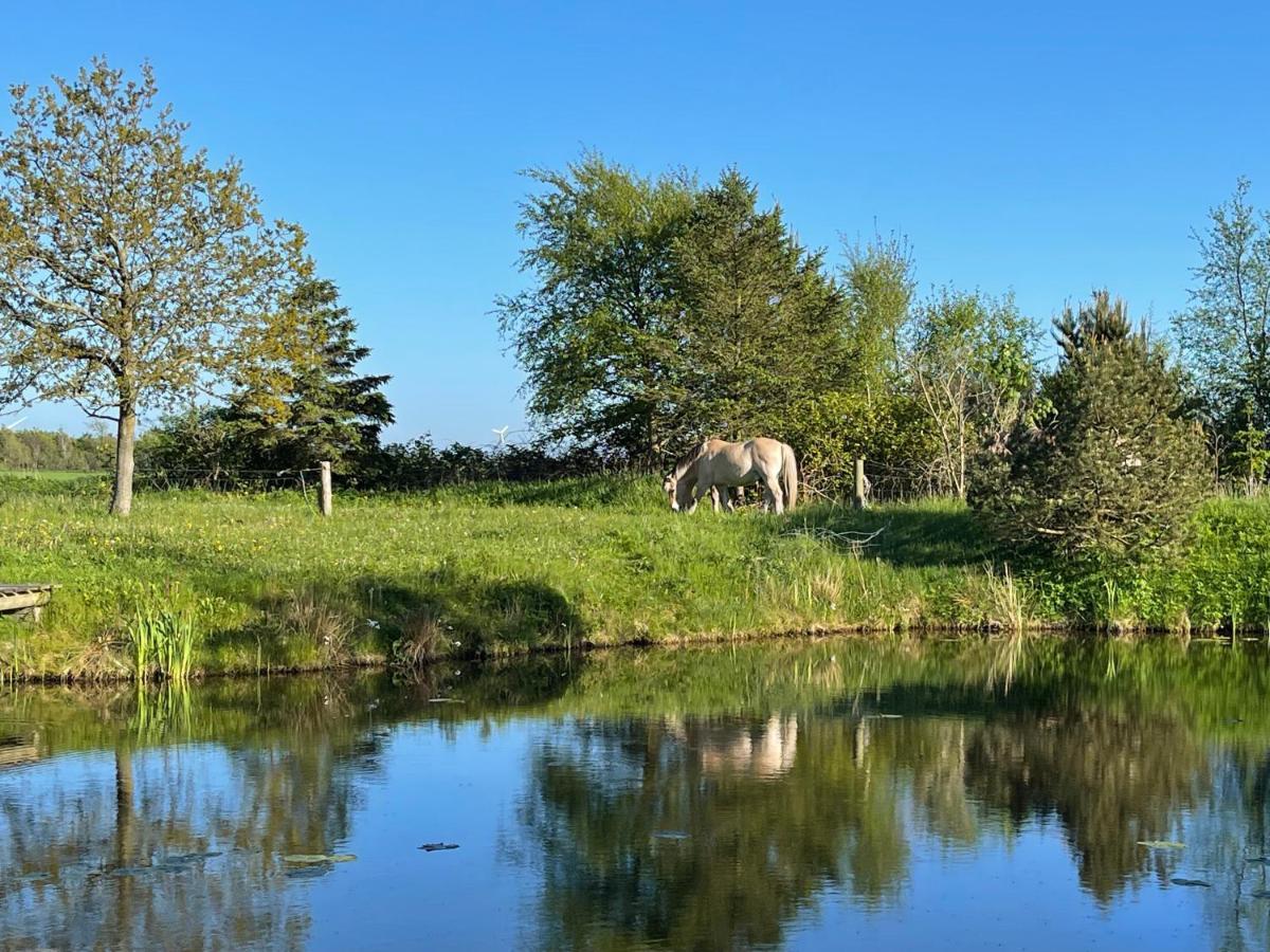 Vestjysk Naturcamping - Fjordviking Ringkøbing Dış mekan fotoğraf